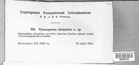 Image Associated With the Occurence
